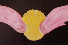 Thought Forms